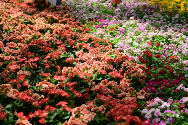 Comment financer son projet d'extension maison ?